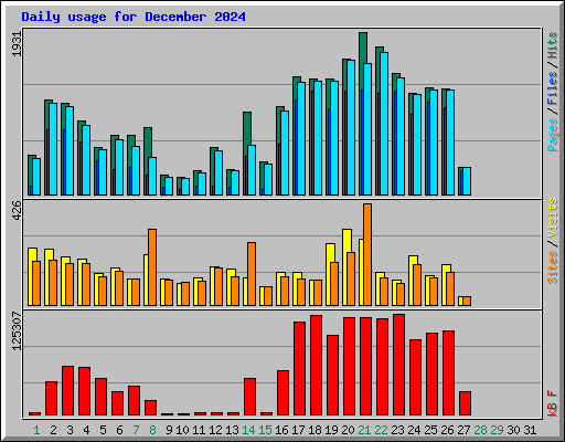 Daily usage for December 2024