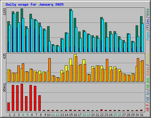 Daily usage for January 2025