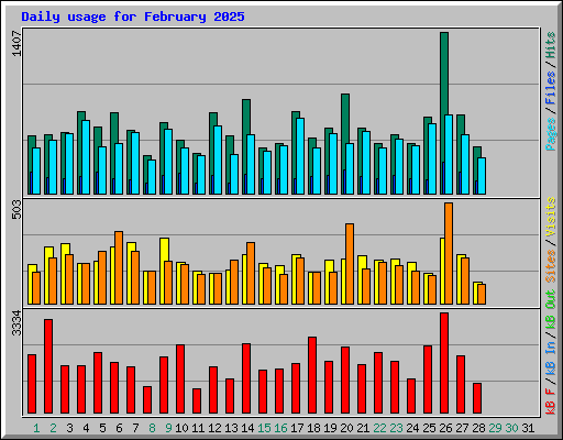 Daily usage for February 2025