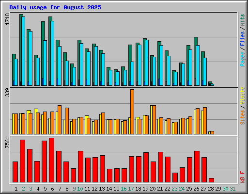 Daily usage for August 2025