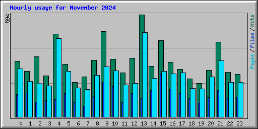 Hourly usage for November 2024