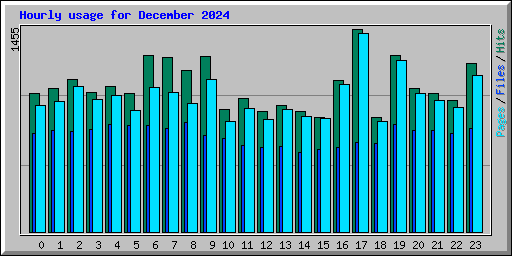 Hourly usage for December 2024