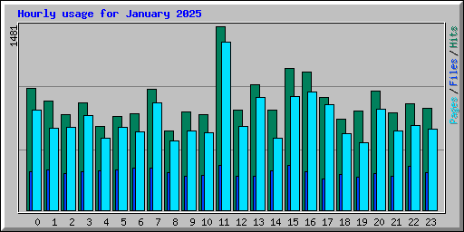 Hourly usage for January 2025