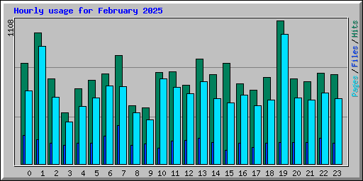 Hourly usage for February 2025