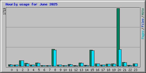 Hourly usage for June 2025