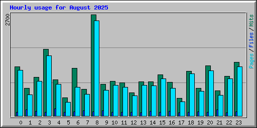 Hourly usage for August 2025