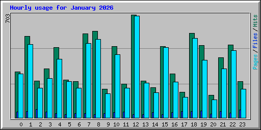 Hourly usage for January 2026