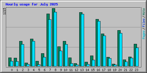 Hourly usage for July 2025