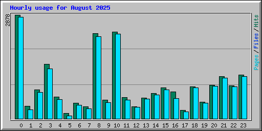 Hourly usage for August 2025