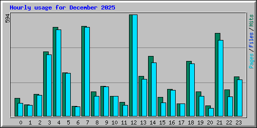 Hourly usage for December 2025