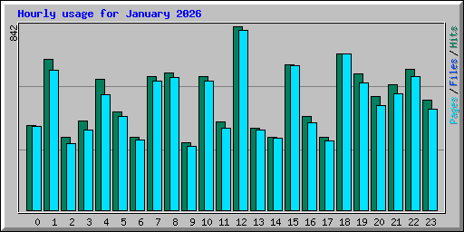 Hourly usage for January 2026